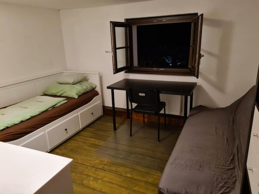 Private Room In Our Home With Free Vvo Ticket & Cats Пирна Экстерьер фото