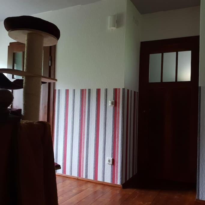 Private Room In Our Home With Free Vvo Ticket & Cats Пирна Экстерьер фото