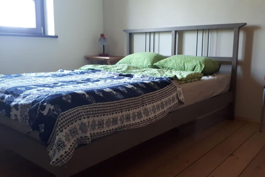 Private Room In Our Home With Free Vvo Ticket & Cats Пирна Экстерьер фото
